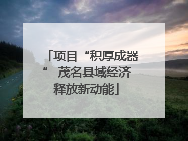 项目“积厚成器” 茂名县域经济释放新动能